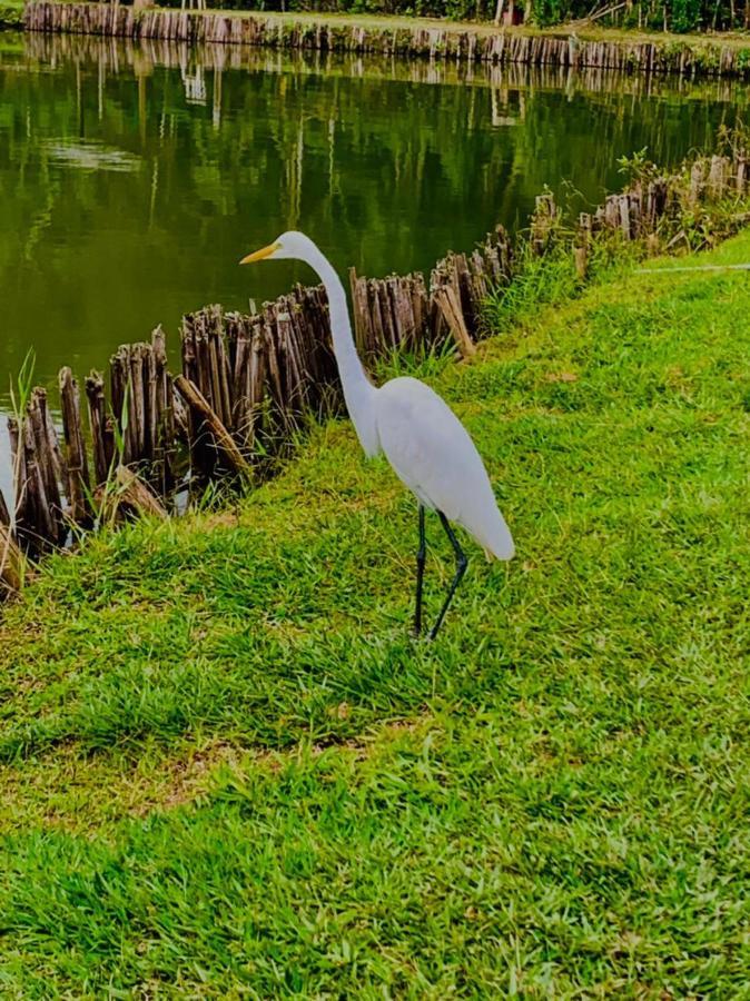 Pesqueiro E Pousada Rota Do Sol Mogi das Cruzes Dış mekan fotoğraf